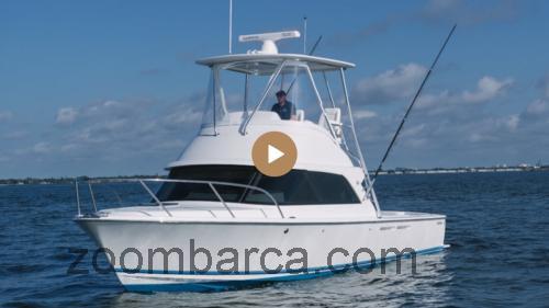 Bertram 35 Flybridge recensioni e scheda tecnica